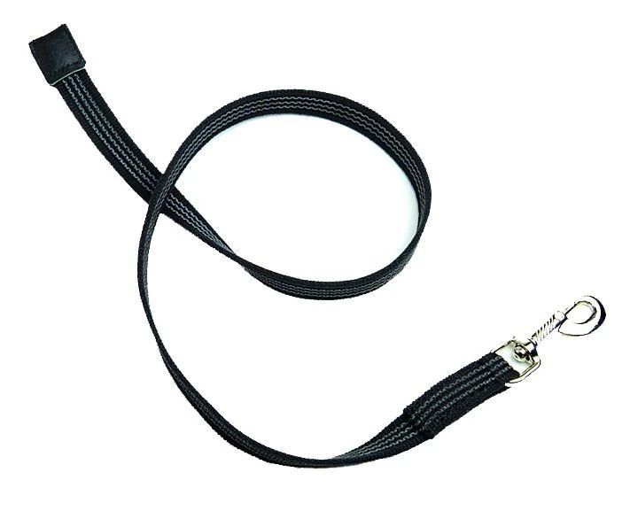 Mystique ABS Leine Schwarz