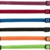 Welpen Halsbänder Standardfarben 6 Stück