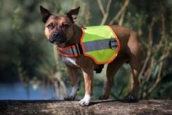 Grossenbacher Sicherheitsweste Balou