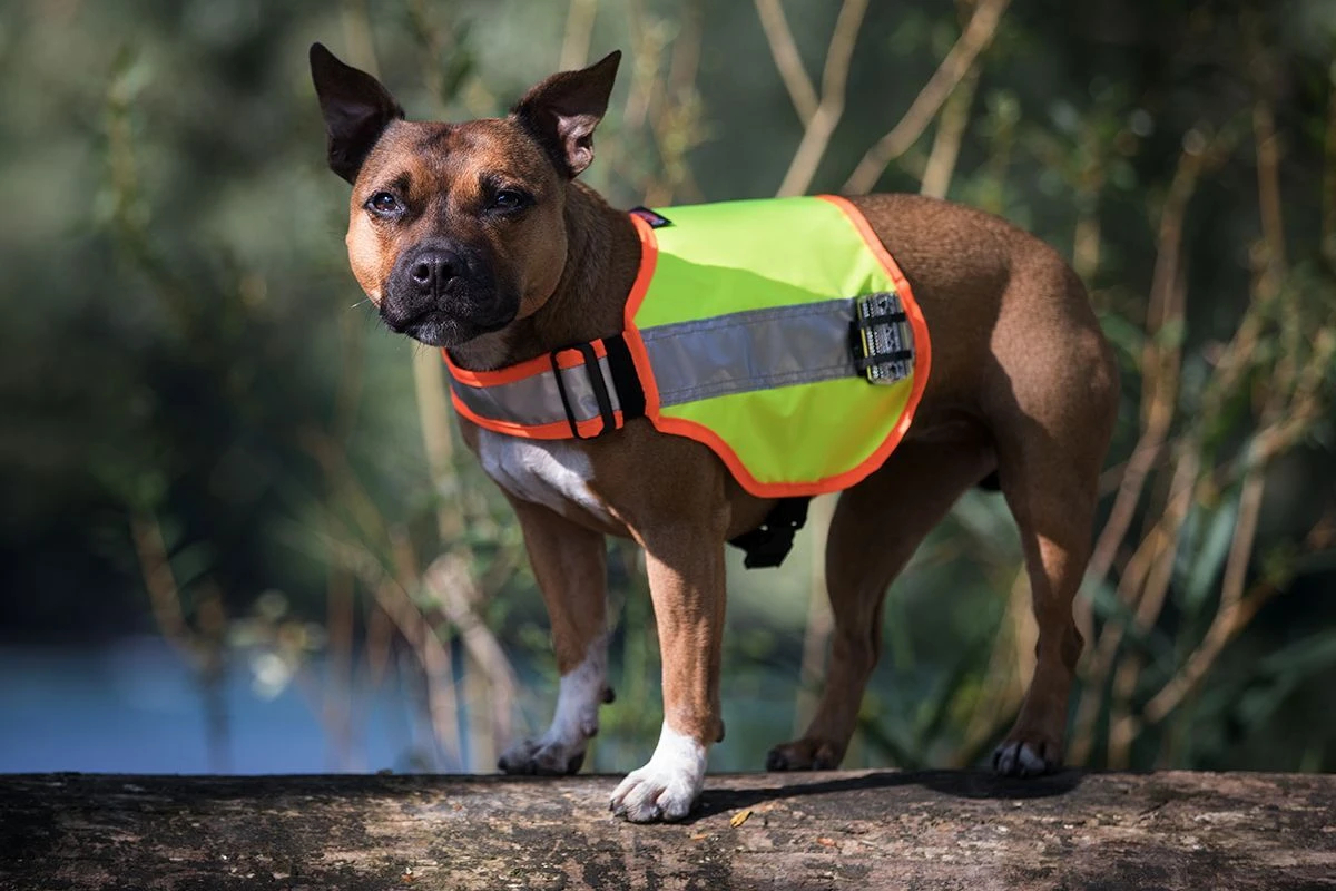 Grossenbacher Sicherheitsweste Balou 3 Grossenbacher Sicherheitsweste Balou