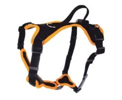 Grossenbacher Welpengeschirr Mit Klickverschluss