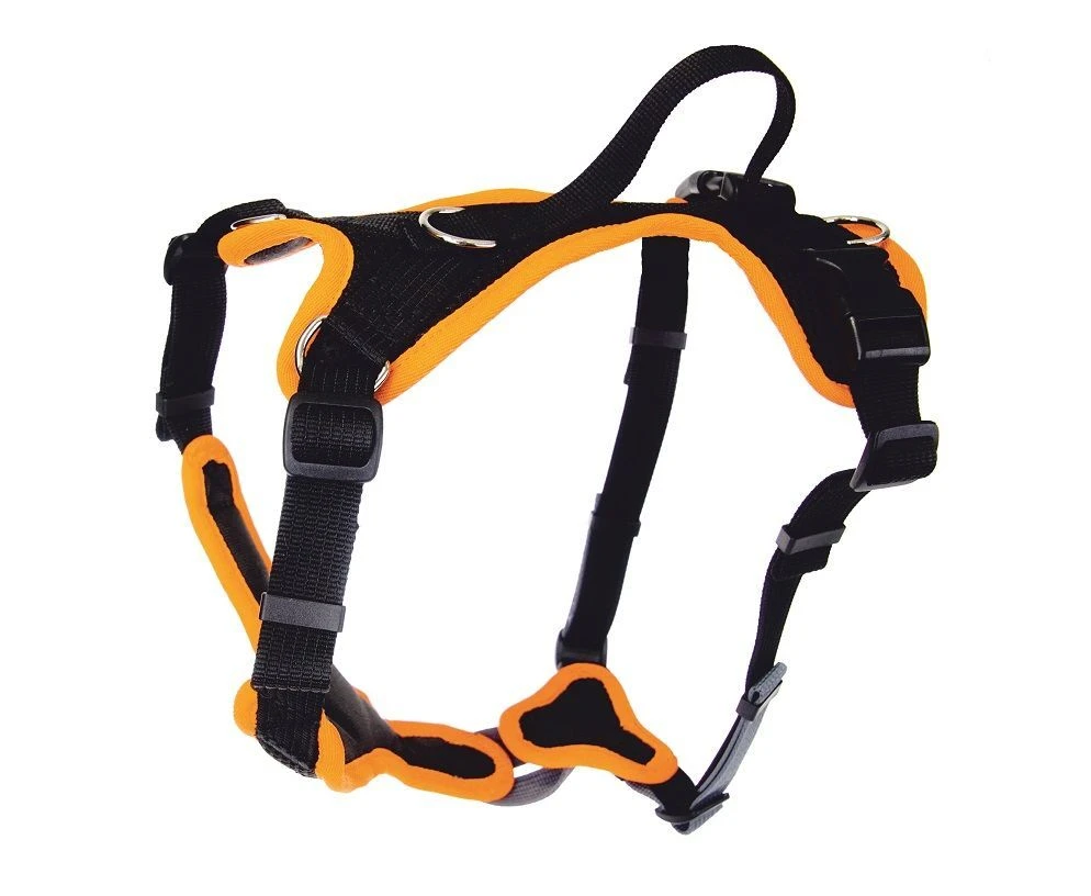 Grossenbacher Welpengeschirr Mit Klickverschluss 3 Grossenbacher Welpengeschirr Mit Klickverschluss