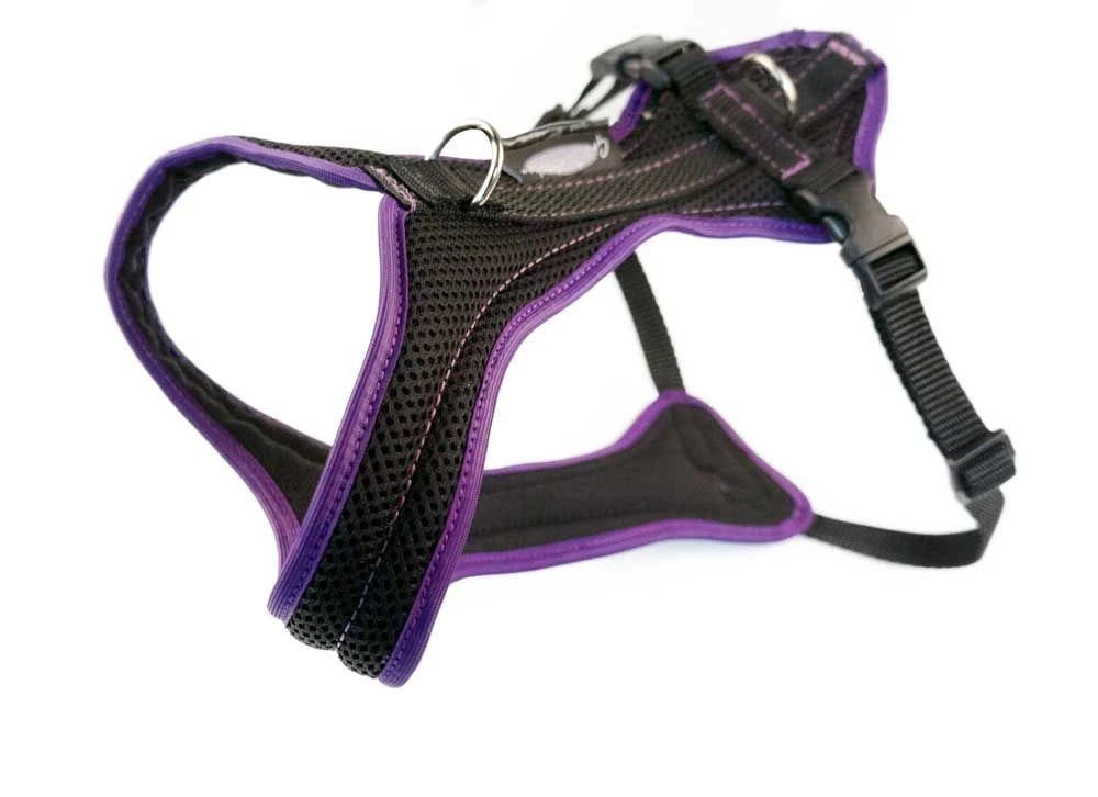 Grossenbacher Geschirr Violett