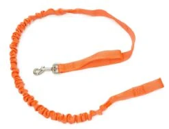 Jogging Leine ACTIV'DOG Orange 1.45 M Bis 2 M