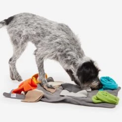 Knauder's Best Sniff Pad Elements 8 Knauder's Best Sniff Pad Elements -Katzen Hundebedarf Geschäft 10020700 3