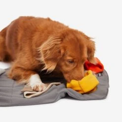 Knauder's Best Sniff Pad Elements 9 Knauder's Best Sniff Pad Elements -Katzen Hundebedarf Geschäft 10020700 4