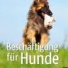 Beschäftigung Für Hunde Jan Nijboer 1 Beschäftigung Für Hunde Jan Nijboer -Katzen Hundebedarf Geschäft 134191