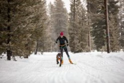 RUFFWEAR Polar Trex Schwarz 2 Stück -Katzen Hundebedarf Geschäft 15302 7