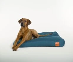 Clébard Hundebett Sofa Blau 8 Clébard Hundebett Sofa Blau -Katzen Hundebedarf Geschäft 1595 3 10