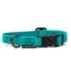 Treusinn Hundehalsband STAY Petrol -Katzen Hundebedarf Geschäft 20997340