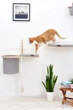 Cosy&Dozy Cat Walk SMART Set 22 Cosy&Dozy Cat Walk SMART Set -Katzen Hundebedarf Geschäft 21010 10