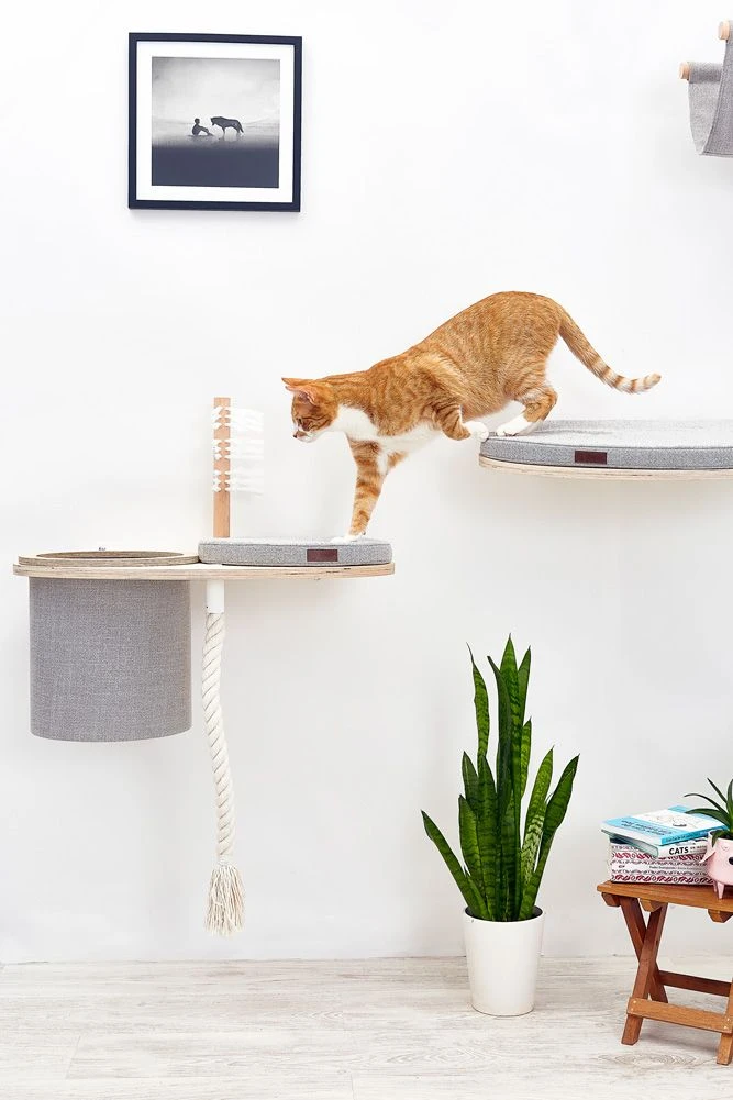 Cosy&Dozy Cat Walk SMART Set 12 Cosy&Dozy Cat Walk SMART Set – Bild 10