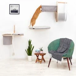 Cosy&Dozy Cat Walk SMART Set 21 Cosy&Dozy Cat Walk SMART Set -Katzen Hundebedarf Geschäft 21010 9