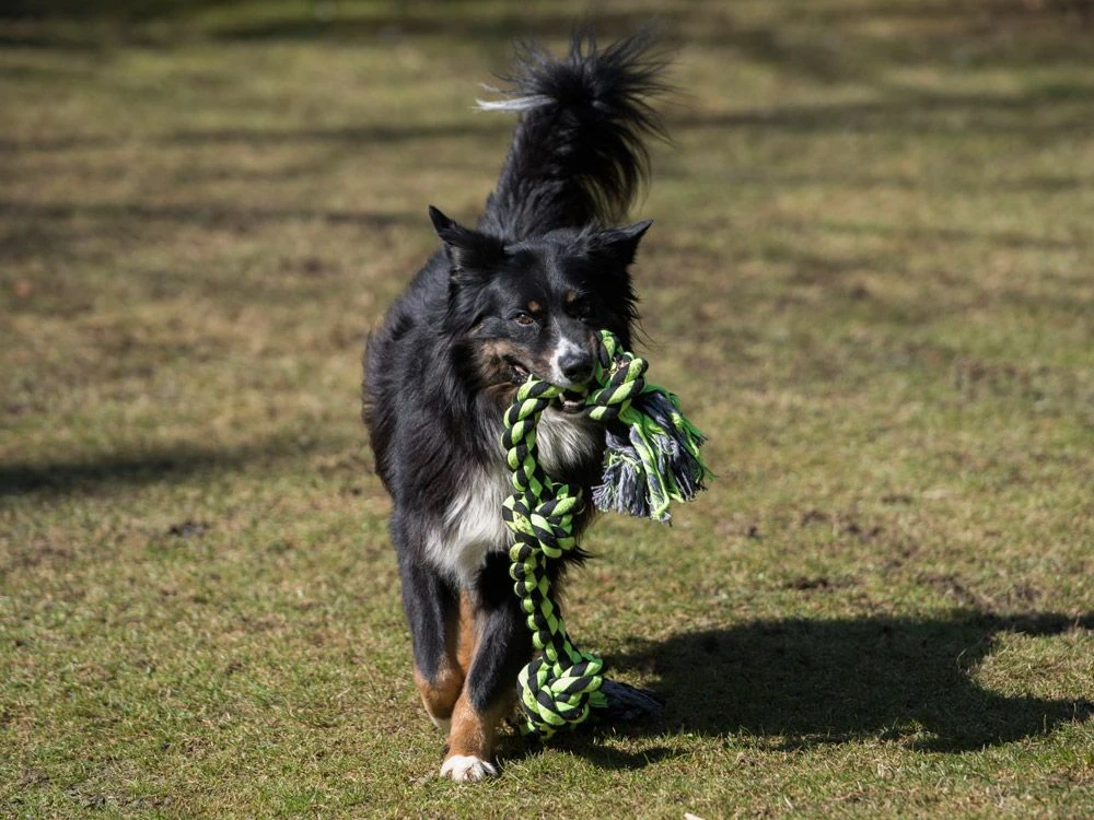 XXL Knotenseil 3 Knoten 85 Cm 950 G, Taudicke 4.5 Cm 4 XXL Knotenseil 3 Knoten 85 Cm 950 G, Taudicke 4.5 Cm – Bild 2