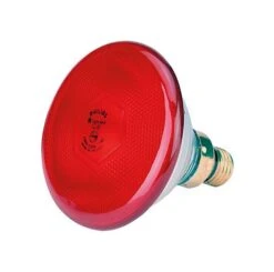 Philips Infrarot-Sparlampe 100 Watt 1 Stück Rot