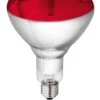 Philips Hartglas-Infrarotlampe 150 Watt 1 Stück Rot -Katzen Hundebedarf Geschäft 22313