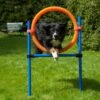 Procyon Agility Set K2 1 Tunnel, 4 Slalomstangen, 1 Sprung, 1 Sprungring Ø 41cm