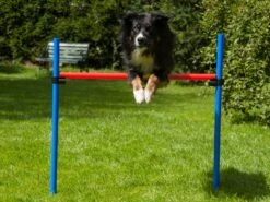 Procyon Agility Set K2 1 Tunnel, 4 Slalomstangen, 1 Sprung, 1 Sprungring Ø 41cm 11 Procyon Agility Set K2 1 Tunnel, 4 Slalomstangen, 1 Sprung, 1 Sprungring Ø 41cm -Katzen Hundebedarf Geschäft 243922 4