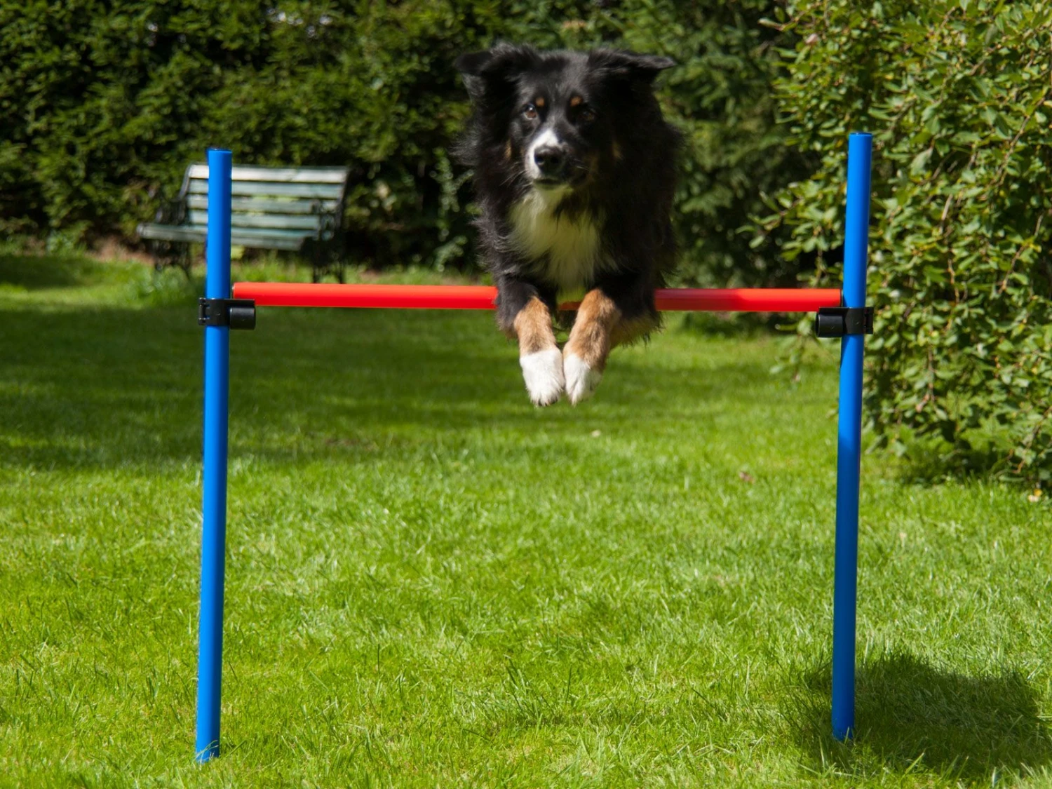 Procyon Agility Set K2 1 Tunnel, 4 Slalomstangen, 1 Sprung, 1 Sprungring Ø 41cm 6 Procyon Agility Set K2 1 Tunnel, 4 Slalomstangen, 1 Sprung, 1 Sprungring Ø 41cm – Bild 4