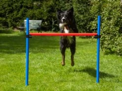 Procyon Agility Set K2 1 Tunnel, 4 Slalomstangen, 1 Sprung, 1 Sprungring Ø 41cm 12 Procyon Agility Set K2 1 Tunnel, 4 Slalomstangen, 1 Sprung, 1 Sprungring Ø 41cm -Katzen Hundebedarf Geschäft 243922 5