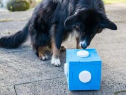 Procyon Schnüffel Würfel 14 Procyon Schnüffel Würfel -Katzen Hundebedarf Geschäft 243996 6