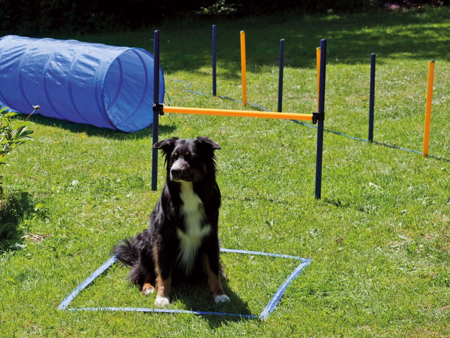 Procyon Agility Set Starter 1 Tunnel 60x152 Cm, 4 Slalomstangen 1 Sprung, 1 Boxband 4 Procyon Agility Set Starter 1 Tunnel 60x152 Cm, 4 Slalomstangen 1 Sprung, 1 Boxband – Bild 2