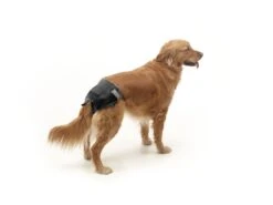 Schutzhöschen Comfort Nappy 12 Stück