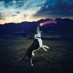 Nite Ize GlowStreak LED-Ball Rot Ca. 6 Cm -Katzen Hundebedarf Geschäft 35294 4