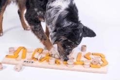 My Intelligent Pets Erweiterung Zu MAUS 14 Walzen -Katzen Hundebedarf Geschäft 409050 4