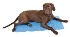 Kühlmatte 8 Kühlmatte -Katzen Hundebedarf Geschäft 48394 1