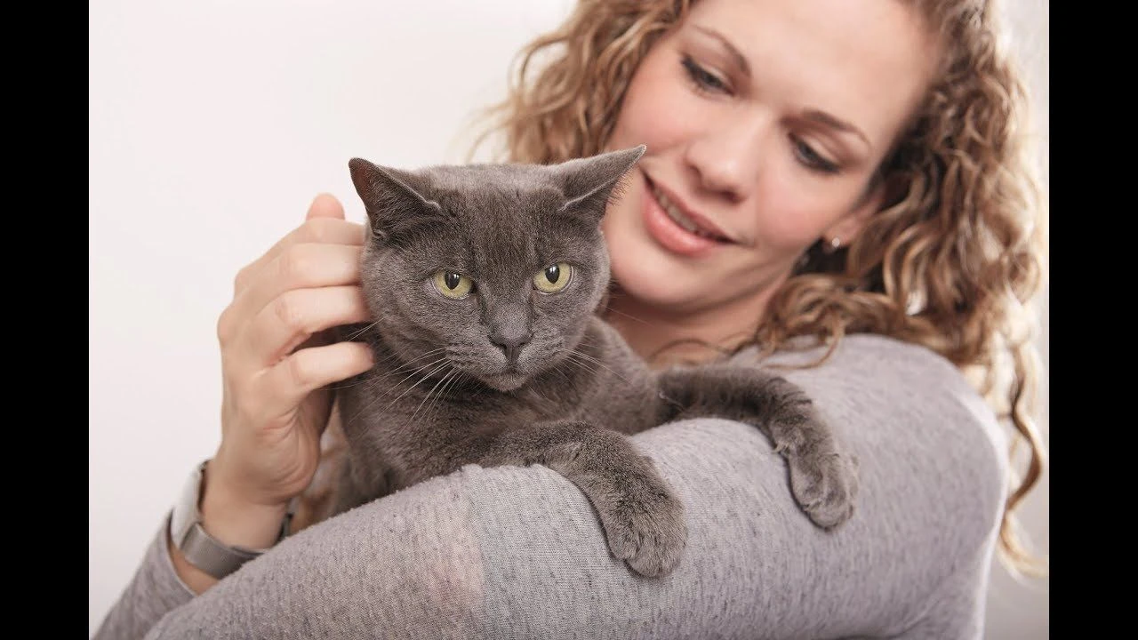 Feliway Transport Spray 20 Ml 4 Feliway Transport Spray 20 Ml – Bild 2