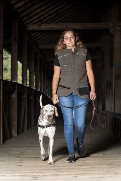 Grossenbacher Ausbildungsgeschirr -Katzen Hundebedarf Geschäft 50000.m 2