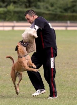Schweikert Schutzjacke AeroDynamic Schwarz - Rot