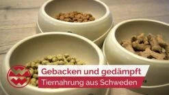 Magnusson M&B Adult 4.5 Kg Erwachsene Hunde & Junghunde Gr. Rassen 5 Magnusson M&B Adult 4.5 Kg Erwachsene Hunde & Junghunde Gr. Rassen -Katzen Hundebedarf Geschäft 53FhdoqZGdU 37336 maxresdefault