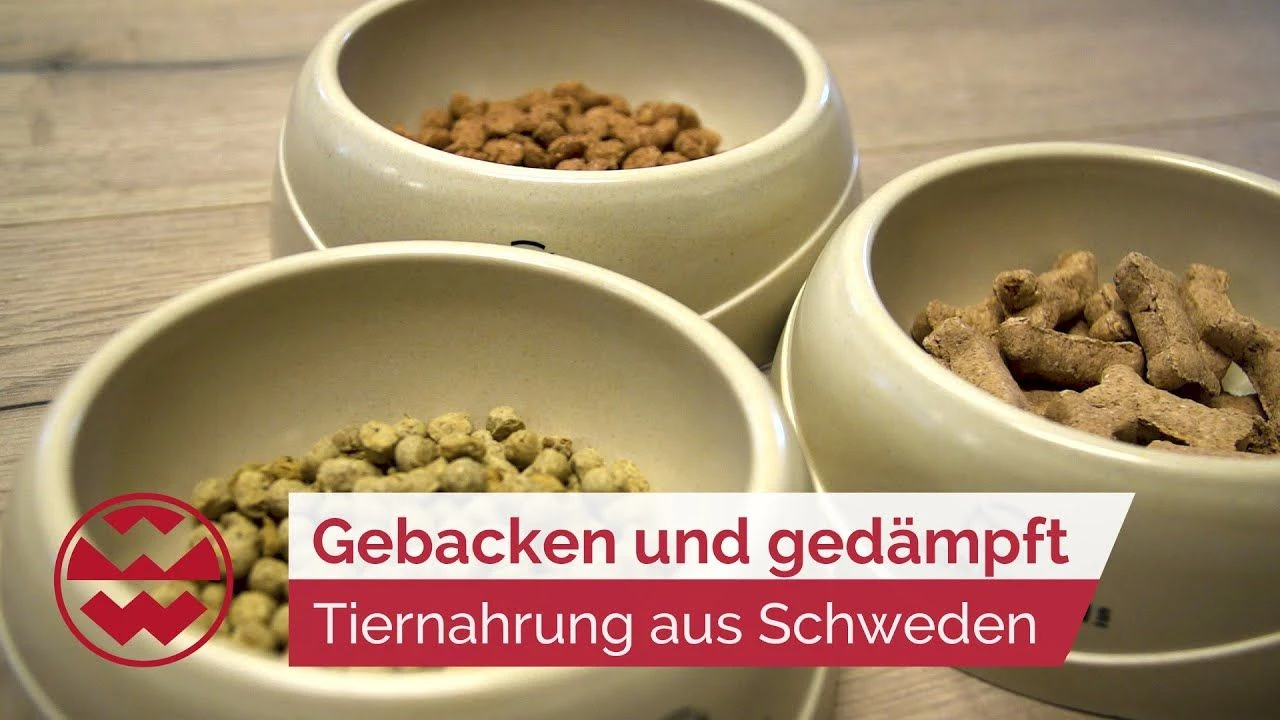 Magnusson M&B Adult 4.5 Kg Erwachsene Hunde & Junghunde Gr. Rassen 4 Magnusson M&B Adult 4.5 Kg Erwachsene Hunde & Junghunde Gr. Rassen – Bild 2