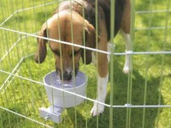 Napf Crock Giant 1200ml -Katzen Hundebedarf Geschäft 5949 2