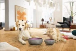 Treusinn Keramiknapf PUR Beere -Katzen Hundebedarf Geschäft 60124 3