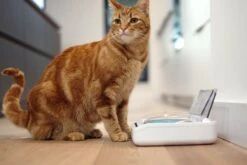 SureFeed Futterschale Luftdicht Grau Gsamtgrösse: 23.5 X 21 X 7.3 Cm Masse Schale: 10.5 X 16 X 3 Cm, 400ml -Katzen Hundebedarf Geschäft 628895 3