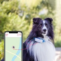 Tractive GPS Tracker Dog 4 -Katzen Hundebedarf Geschäft 629862 3