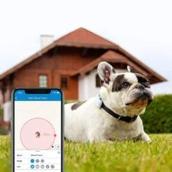 Tractive GPS Tracker Dog 4 -Katzen Hundebedarf Geschäft 629862 7