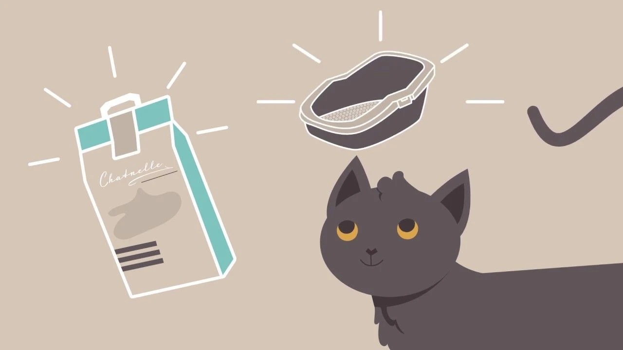 Chatnelle Katzenstreu 6.6 Kg / 10 L Holzpellets 3 Chatnelle Katzenstreu 6.6 Kg / 10 L Holzpellets