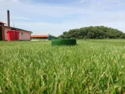 Flexhole Höhe 10 Cm Ø Ca. 30 Cm 8 Flexhole Höhe 10 Cm Ø Ca. 30 Cm -Katzen Hundebedarf Geschäft 7334207 3