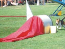 WT-Metall Sacktunnel Integralschaum