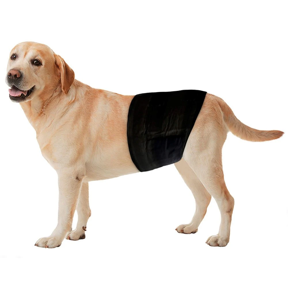 Freezack Einweg-Windeln 12 Stück 3 Freezack Einweg-Windeln 12 Stück