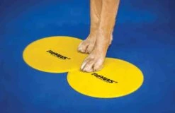 FitPAWS Bodentarget 25 Cm, 4 Stück 13 FitPAWS Bodentarget 25 Cm, 4 Stück -Katzen Hundebedarf Geschäft 81645 6