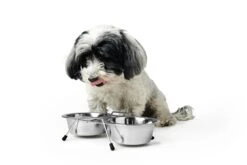 Hunter Doppel Edelstahlnapf 850 Ml 5 Hunter Doppel Edelstahlnapf 850 Ml -Katzen Hundebedarf Geschäft 91348 2