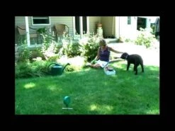 Bodenschraube Mit Flexibler 5m Leine 3Sixty Fun