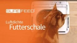 SureFeed Futterschale Luftdicht Grau Gsamtgrösse: 23.5 X 21 X 7.3 Cm Masse Schale: 10.5 X 16 X 3 Cm, 400ml -Katzen Hundebedarf Geschäft P4vgdVZ4Pjw maxresdefault