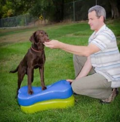 K9FITbone Grün 58.5 X 29 X 10 Cm