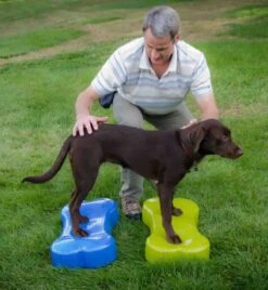 K9FITbone Grün 58.5 X 29 X 10 Cm -Katzen Hundebedarf Geschäft PC3032 2 3